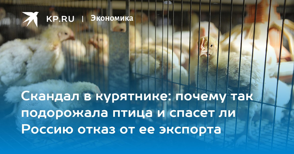 Скандал в курятнике: почему так подорожала птица и спасет ли Россию отказ от ее экспорта