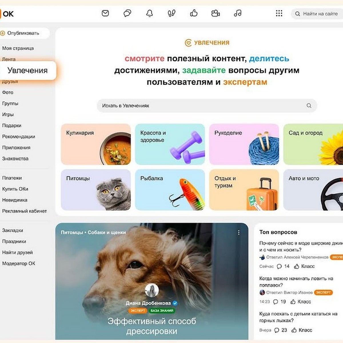 Одноклассники обновили «Увлечения»: общение по интересам, вопросы  профессионалам и экспертные материалы - KP.RU