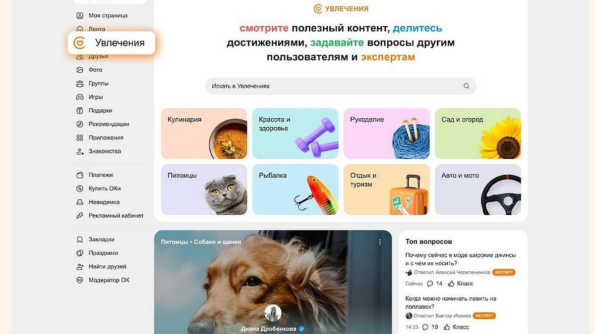 Одноклассники обновили «Увлечения»: общение по интересам, вопросы  профессионалам и экспертные материалы - KP.RU
