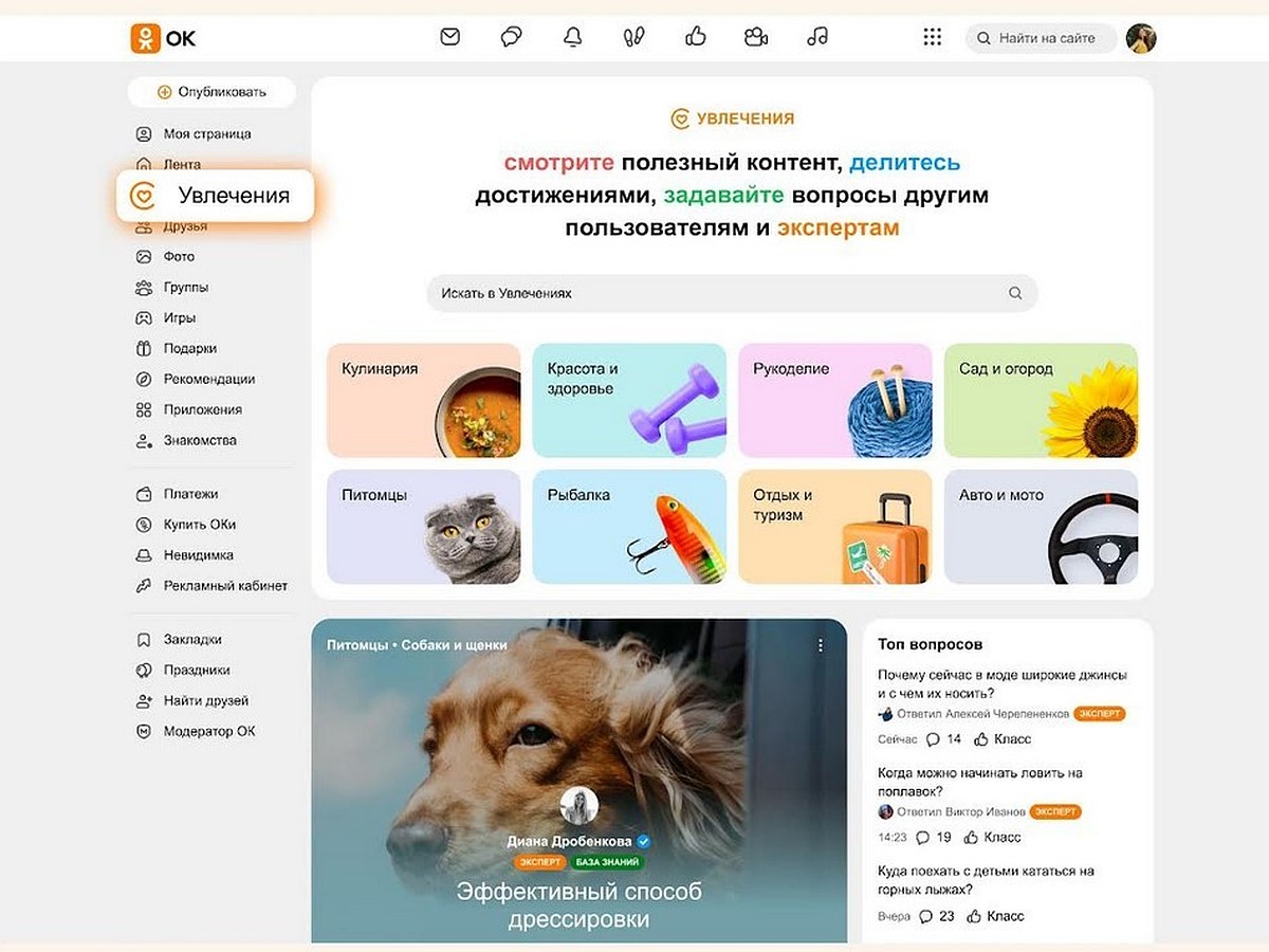 Одноклассники обновили «Увлечения»: общение по интересам, вопросы  профессионалам и экспертные материалы - KP.RU