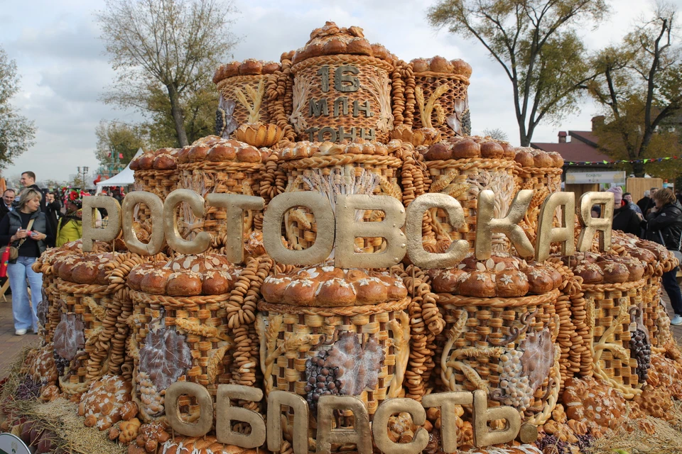В Ростовской области АПК год за годом показывает рекордные результаты. Фото: правительство Ростовской области
