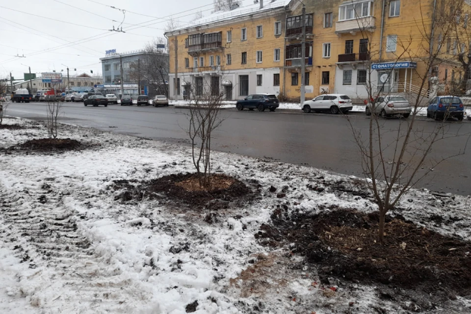 В начале недели работы вели на улице Воровского. Фото: vk.com/public_green_kirov