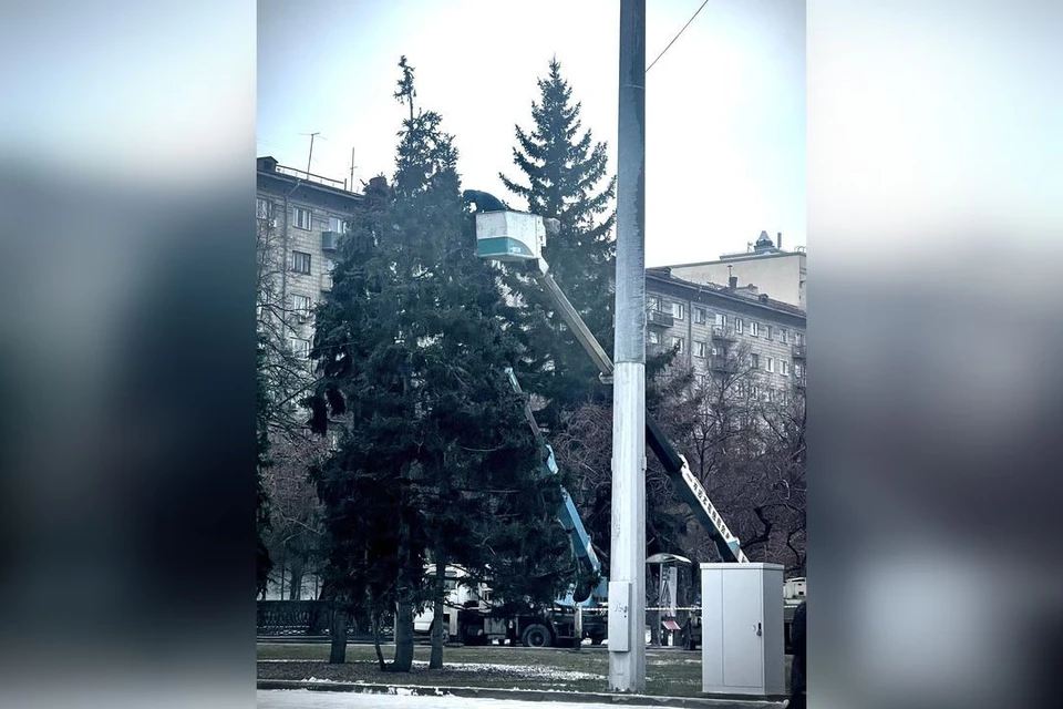 На площади Ленина в Новосибирске начали украшать ели к Новому году. Фото: телеграм-канал Анны Терешковой