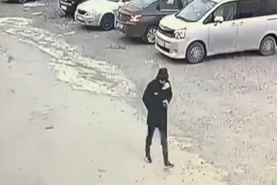 В Новосибирске 34-летний мужчина ограбил 84-летнюю пенсионерку на улице. Фото: ГУ МВД НСО.