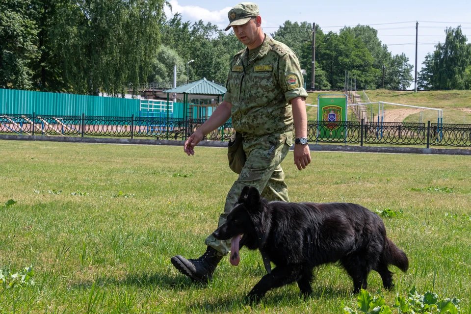 Дворец культуры Железноводска проверяют на наличие взрывчатки