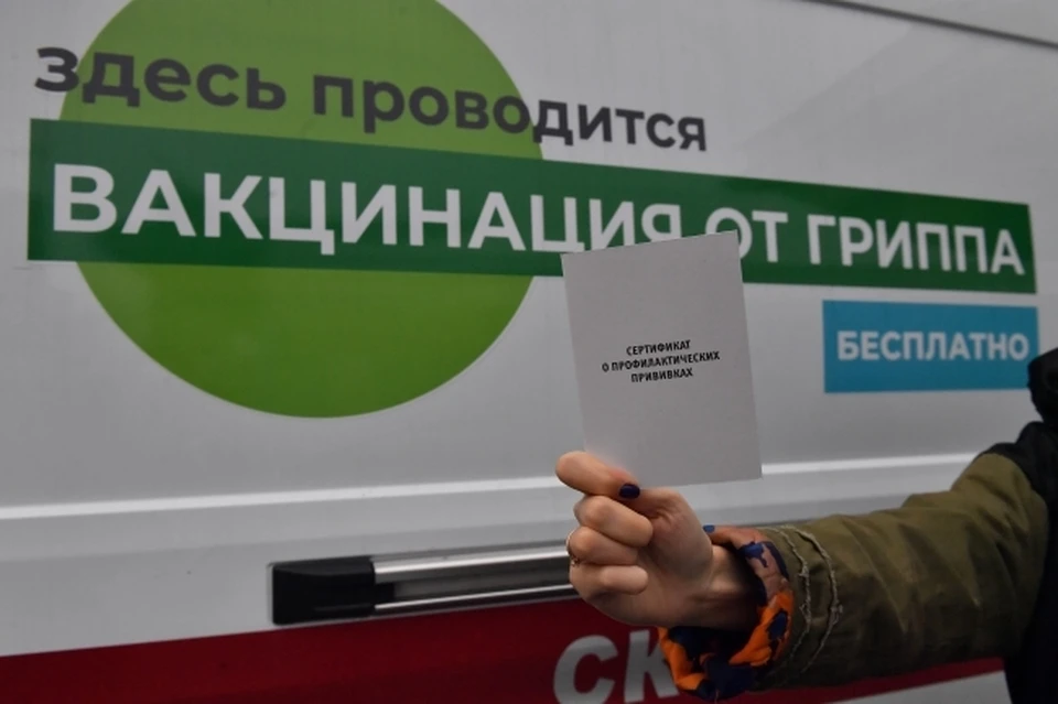 Фото: Саратовские врачи научились понимать разницу между гриппом и ОРВИ