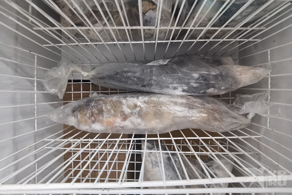 Некачественную рыбу и морепродукты нашел в Рязани Роспотребнадзор.