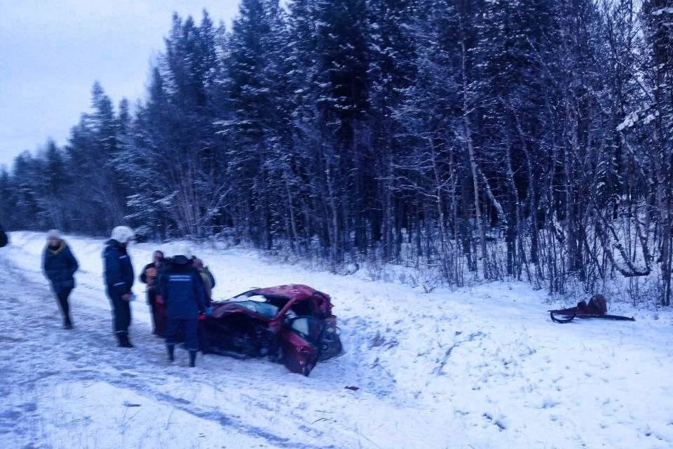 В столкновении двух легковушек и большегруза погиб водитель легковой машины. Фото: Управление ГОЧС и ПБ по Мурманской области