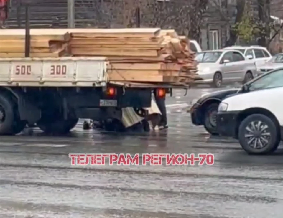 Фото: скриншот видео "Регион-70 Томск"