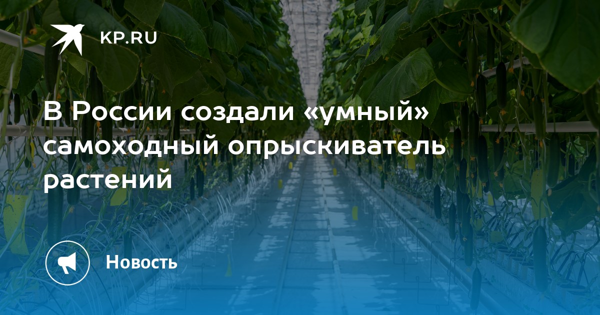 В России создали «умный» самоходный опрыскиватель растений - KP.RU