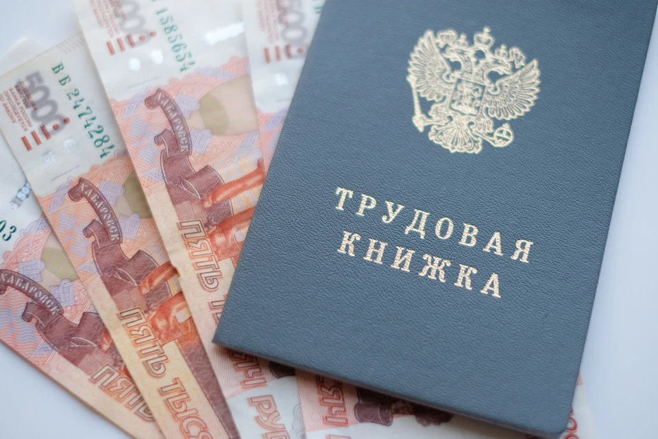 Число вакансий с «удаленкой» выросло в Петербурге почти в два раза за год.