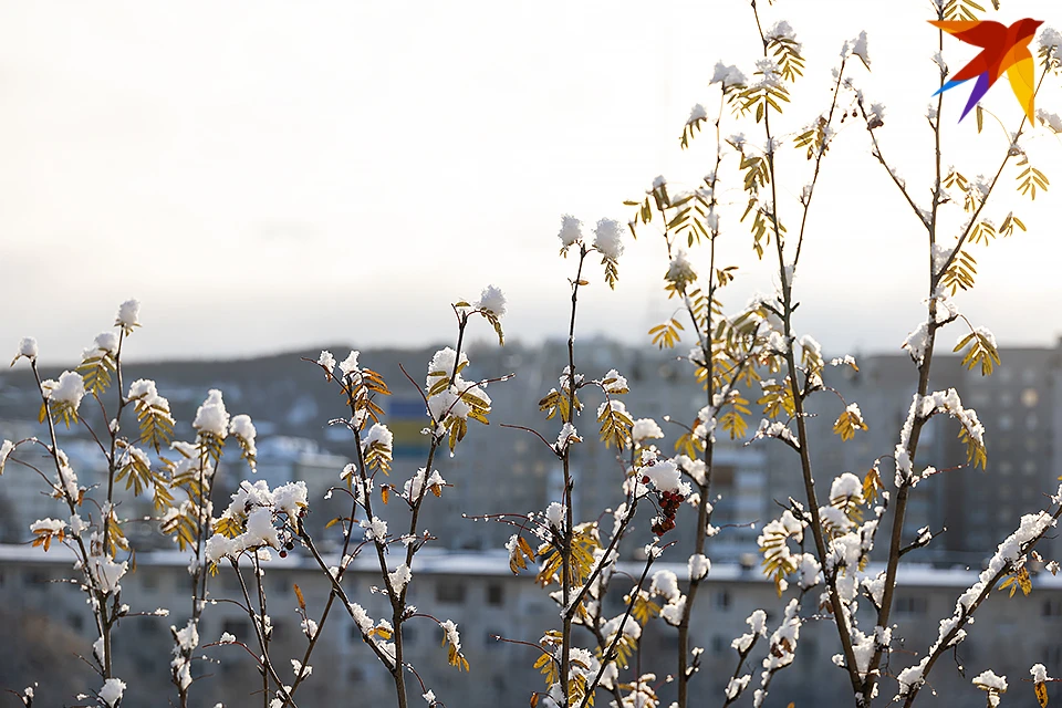 К середине ноября в Мурманске стукнули двузначные морозы.
