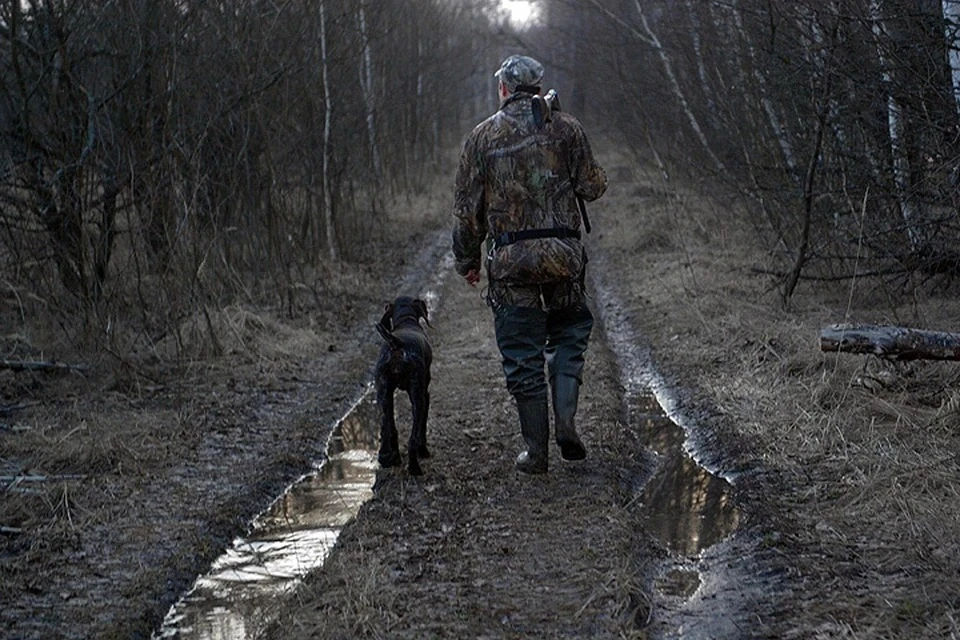 Охота в Беларуси строго регламентирована и находится под контролем государства.