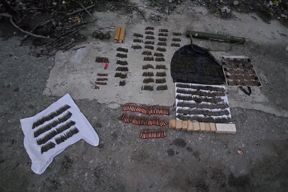 В ЛНР правоохранителями обнаружены взрывчатые вещества и боеприпасы. Фото - МВД ЛНР