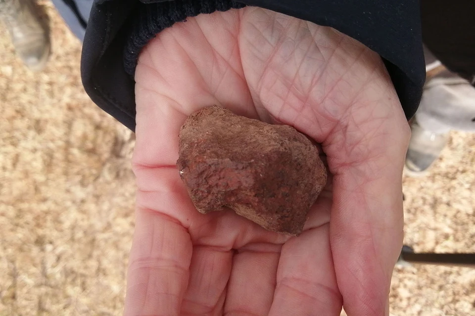 Масса фрагмента метеорита составила 80 грамм. Фото: МГУ.