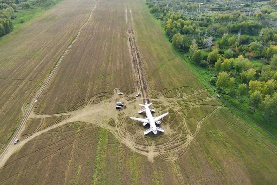 Росавиация нашла ошибки в расследовании посадки самолета в поле под Новосибирском. Фото: пресс-служба "Уральские авиалинии".