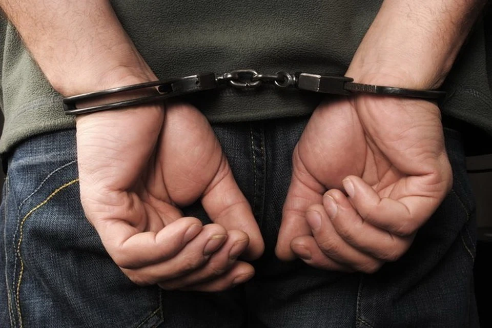 Подозреваемого в мошенничестве задержали и заключили под стражу. Фото: Архив МВД ДНР
