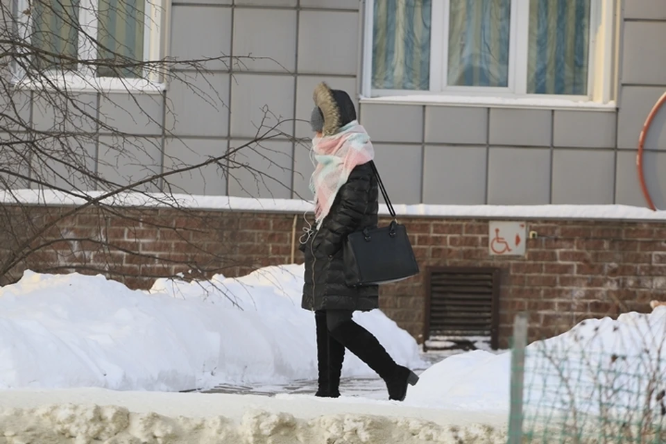 В Ростовской области ожидаются морозы и осадки.