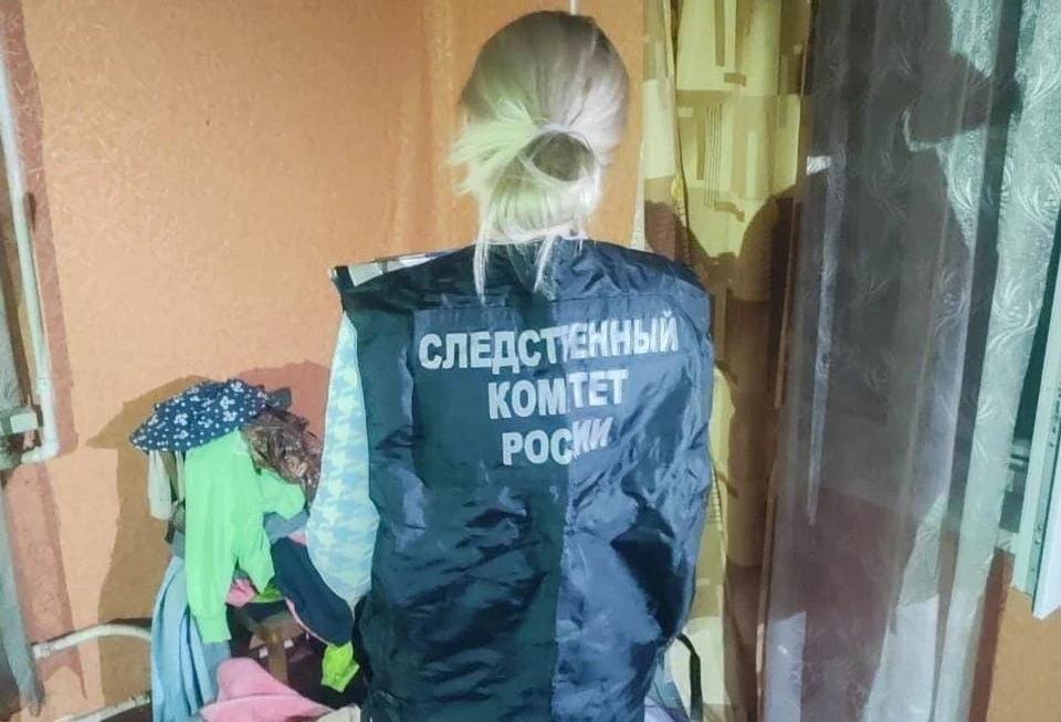 Двоих мертвых детей нашли в квартире, тело еще одного ребенка - на даче. Фото: СК СК по Псковской области