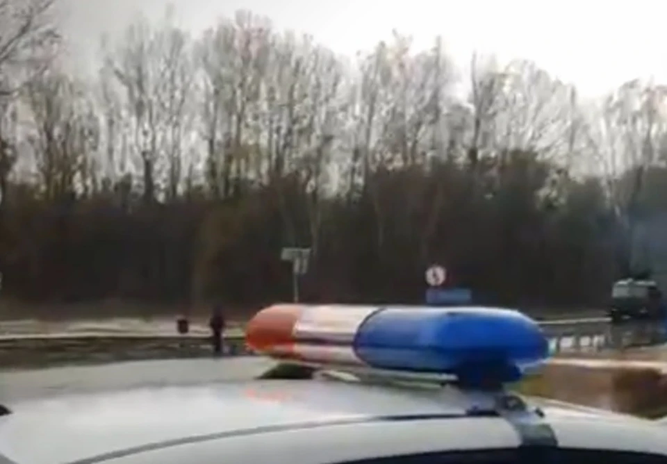 Фото: скриншот видео
