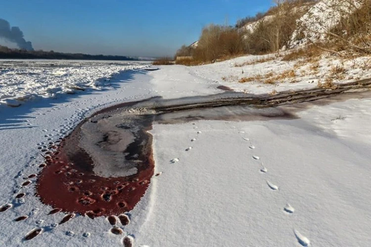 Река Томь в Кемерове окрасилась в красный цвет