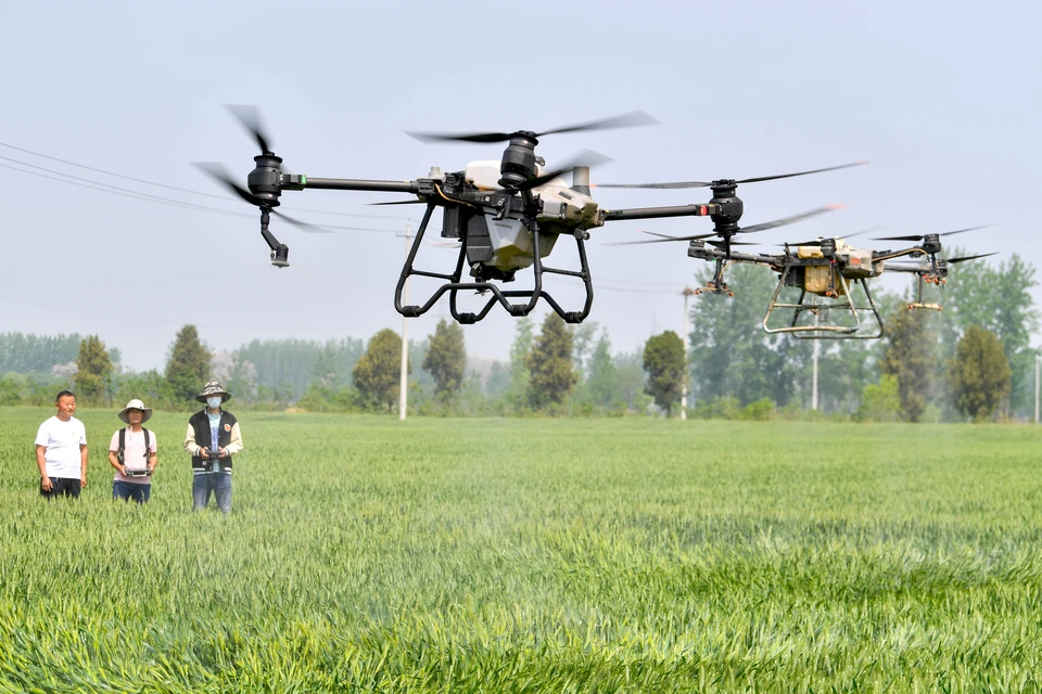 Фермеры используют сельскохозяйственные дроны для распыления пестицидов в Бочжоу, провинция Аньхой, 19 апреля. / ЛЮ ЦИНЬЛИ / ДЛЯ CHINA DAILY