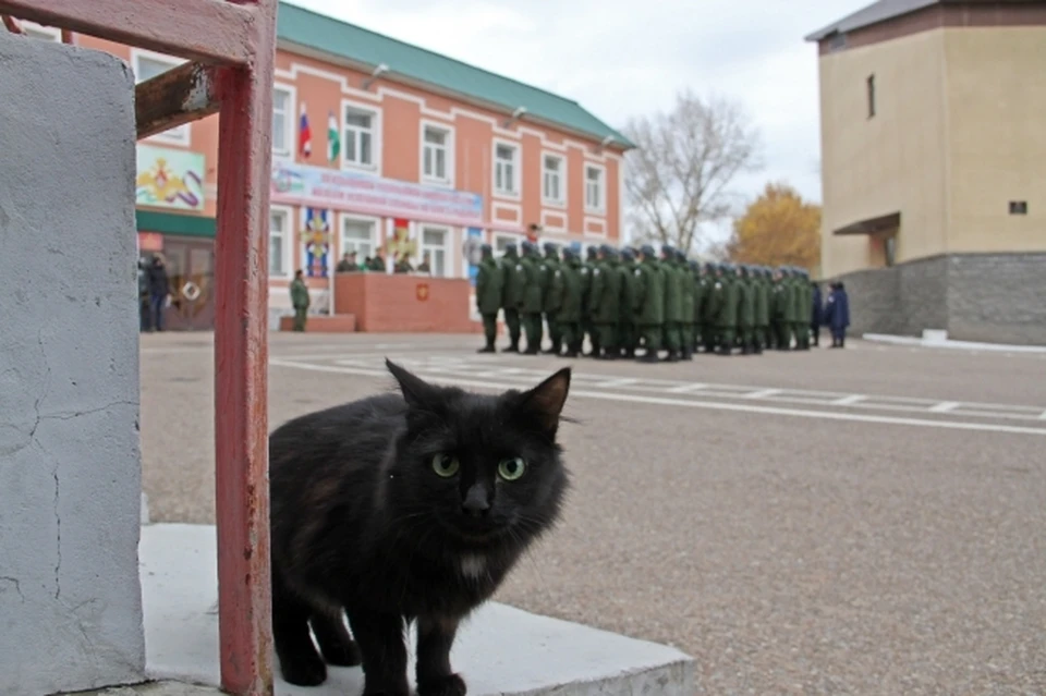 Более 1200 нижегородцев отправились в армию в осенний призыв.