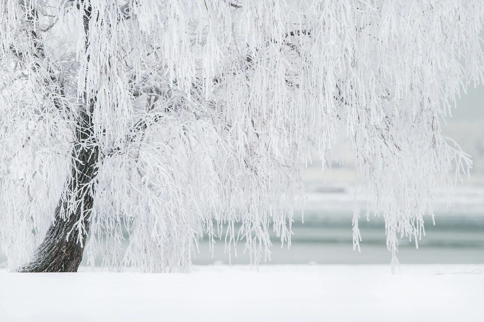 Фото: Photo by form PxHere