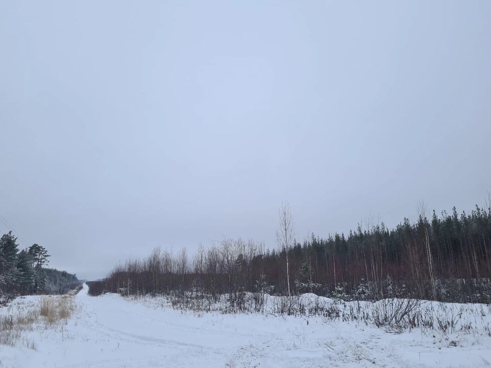 В Югре 2 декабря похолодает до -27 градусов