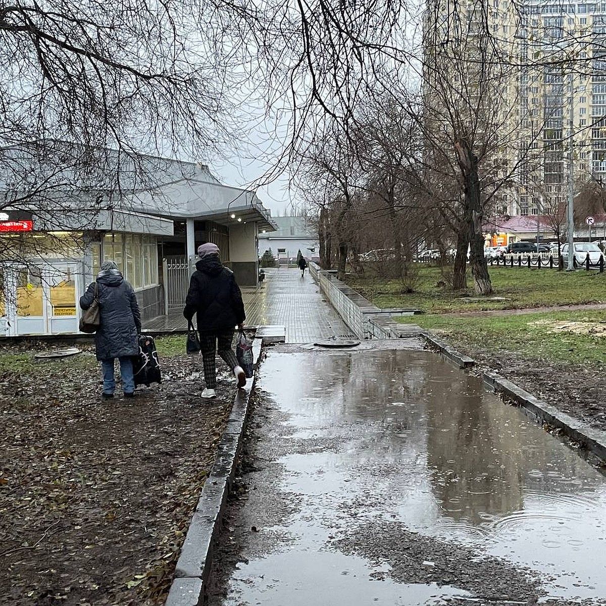 Губернатор 2 декабря провел чиновников по Волгограду под проливным дождем -  KP.RU