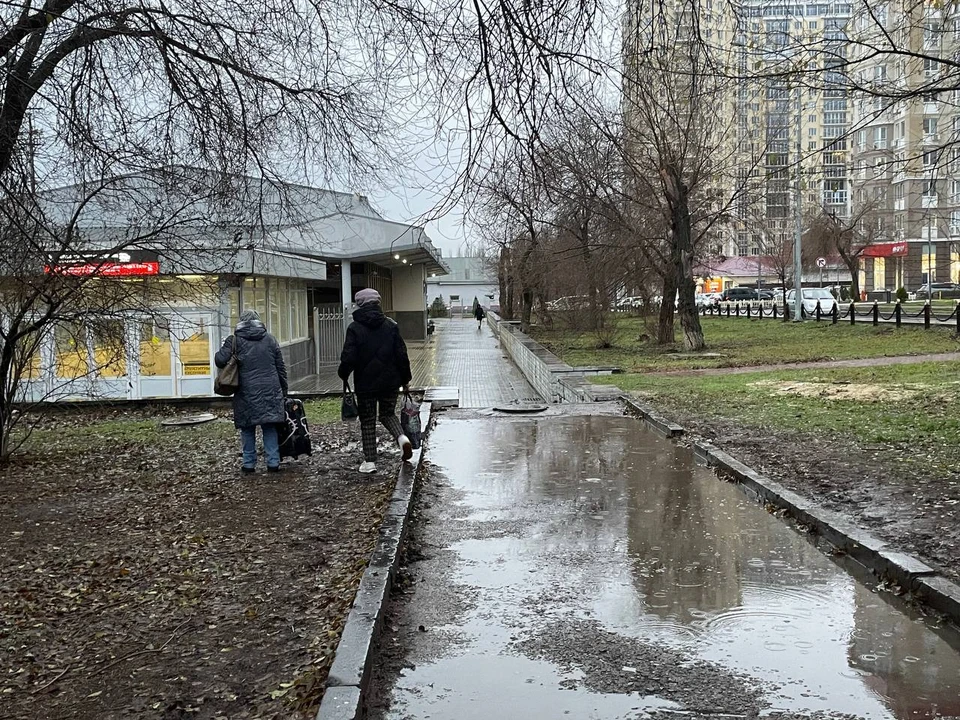 От вокзала к вокзалу тащить чемоданы в дождь приходится по газону.