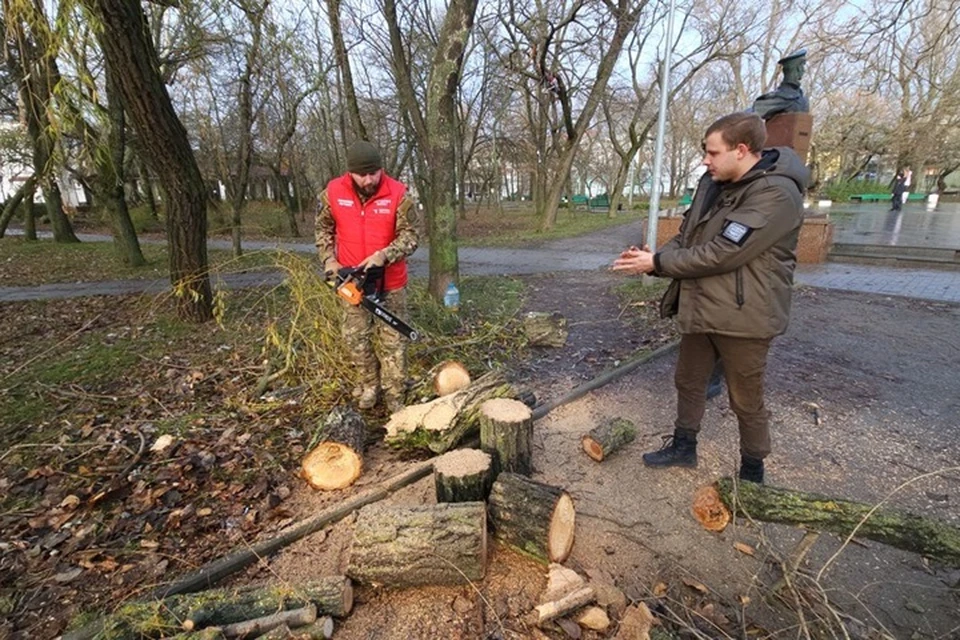 Поваленные ураганом деревья в Бердянске передадут для отопления местным жителям. Фото - Народный фронт Запорожской области