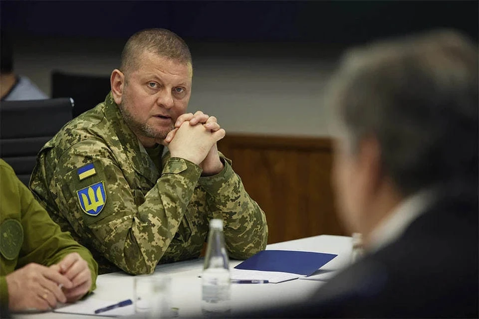 Политолог Фесенко: отставка Залужного обернется для Зеленского огромным ударом