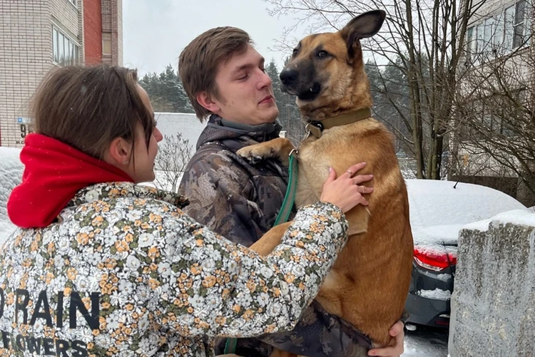 Пса, пропавшего два года назад во Ржеве, хозяева из Брянска нашли на улице Твери