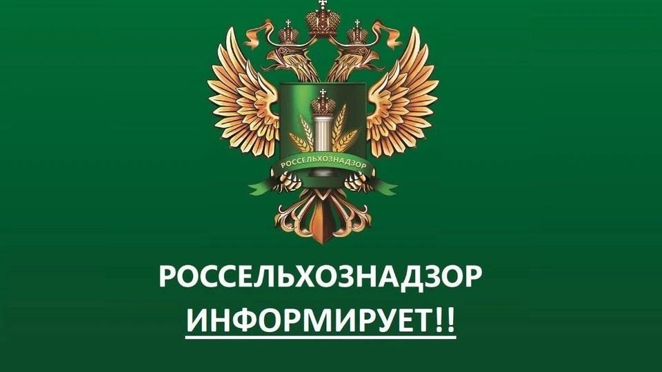 Фото: управление Россельхознадзора по РВАОиРК