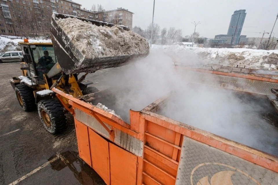 Всего заключат пять муниципальных контрактов.