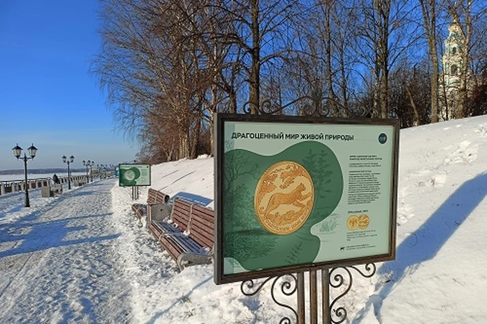 Фото: костромское отделение Банка России