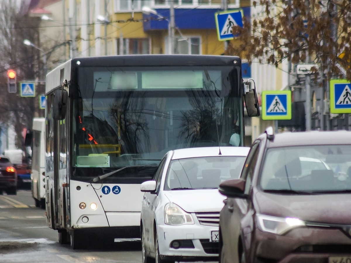 Новые автобусные маршруты в Самаре могут отдать «Автогаранту» и «Транс Авто»  - KP.RU