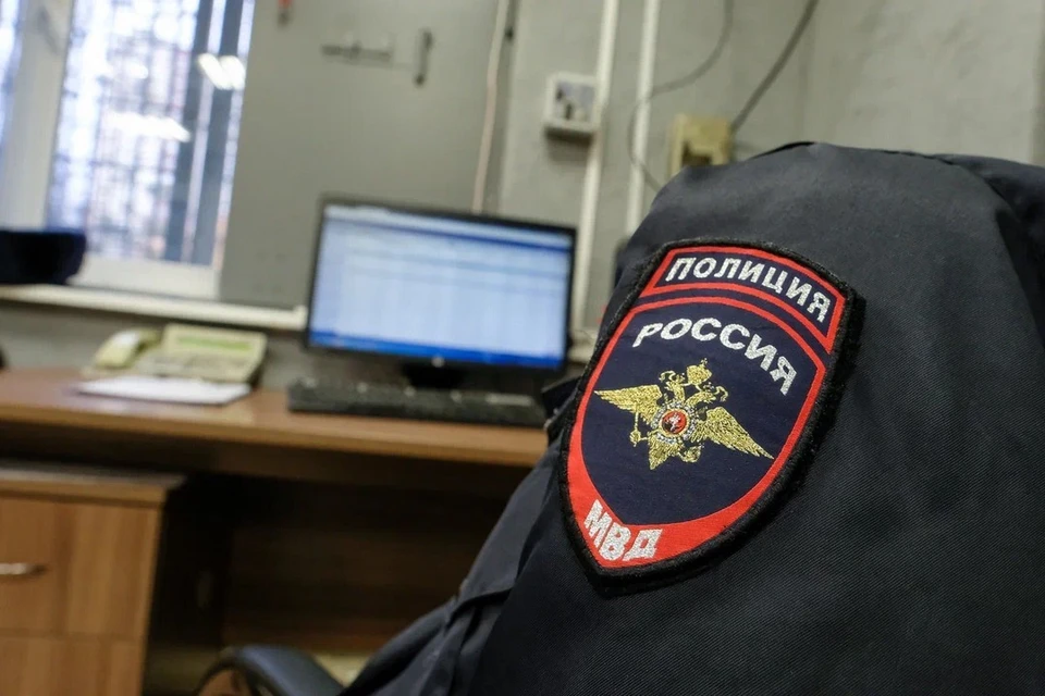 Приезжие из пяти регионов России устроили драку на улице Восстания в Петербурге.