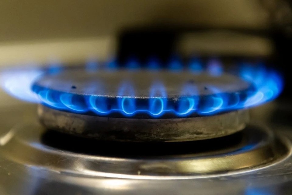 В Новосибирской области в 2024 году начнут строить стокилометровый газопровод