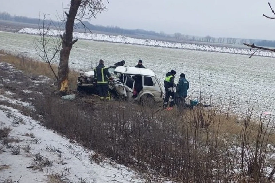 На автодорогах ДНР за сутки в ДТП погиб один человек, еще четверо пострадали. Фото: МВД по ДНР