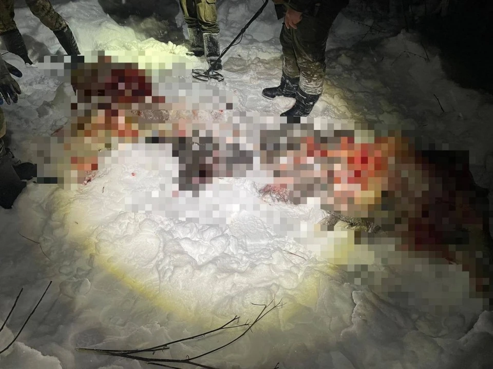 Возбуждено уголовное дело