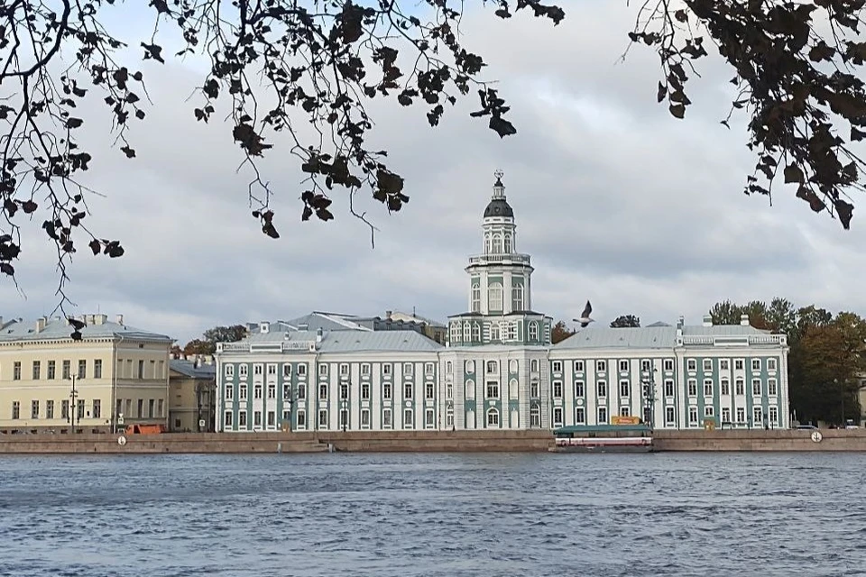 Слет состоится в северной столице с 25 по 29 января. Победители посетят места, которые напрямую связаны с их семейной историей.