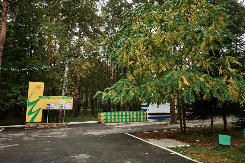 Более ста гектаров Соснового бора благоустроят в Новосибирске. Фото: мэрия Новосибирска.
