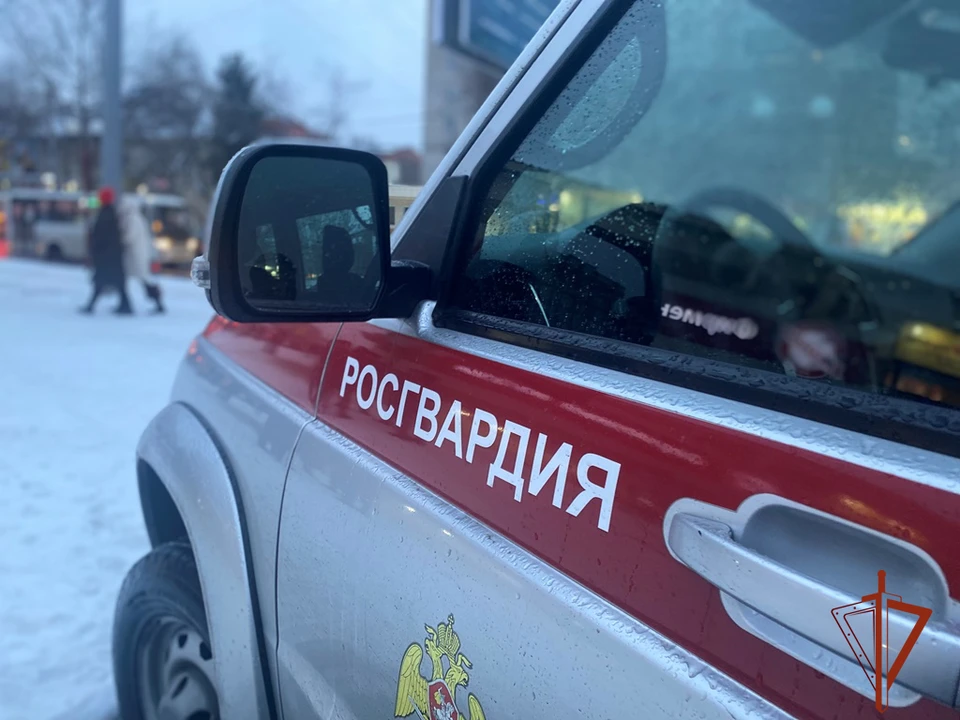 На маршрутах патрулирования росгвардейцы задержали более 60 человек, которые находились в розыске. Фото: управление Росгвардии Томской области