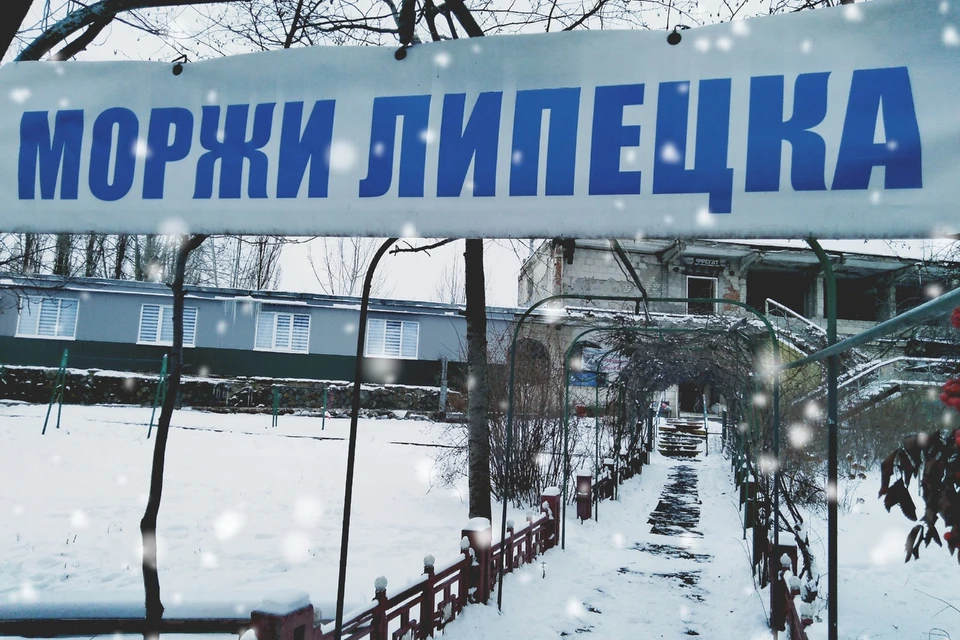 Фото предоставлено пресс-службой фонда «Милосердие»