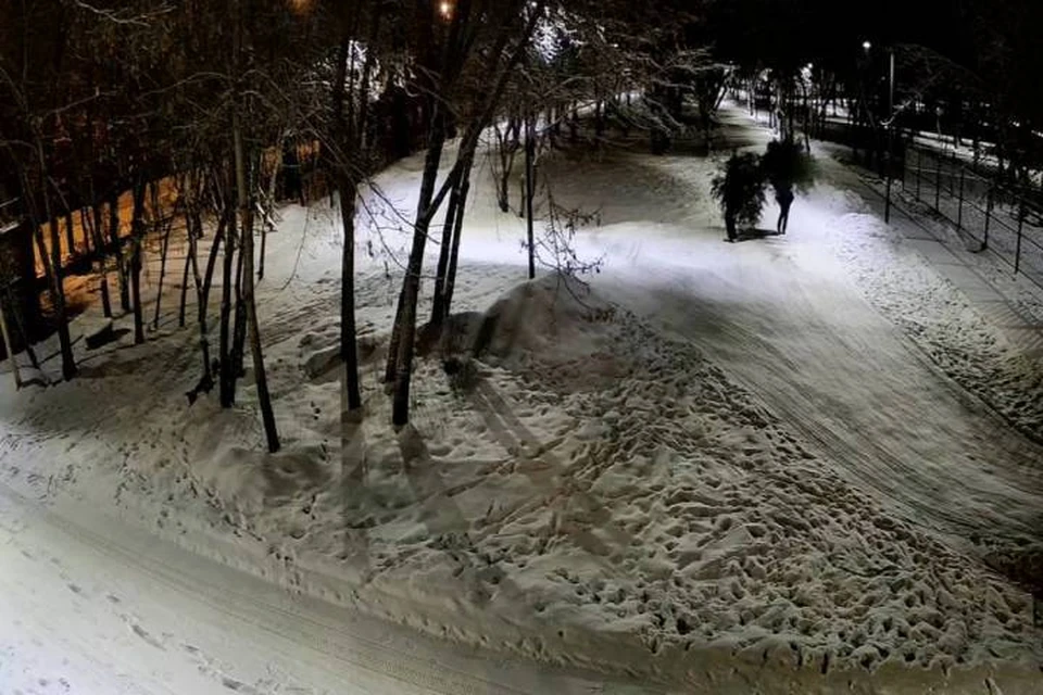 В Иркутске в парке Комсомольском неизвестные срубили две елки
