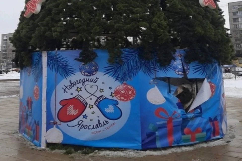 В Заволжском районе Ярославля вандалы испортили новогоднюю елку. ФОТО: страница Андрея Мамонтова ВКонтакте