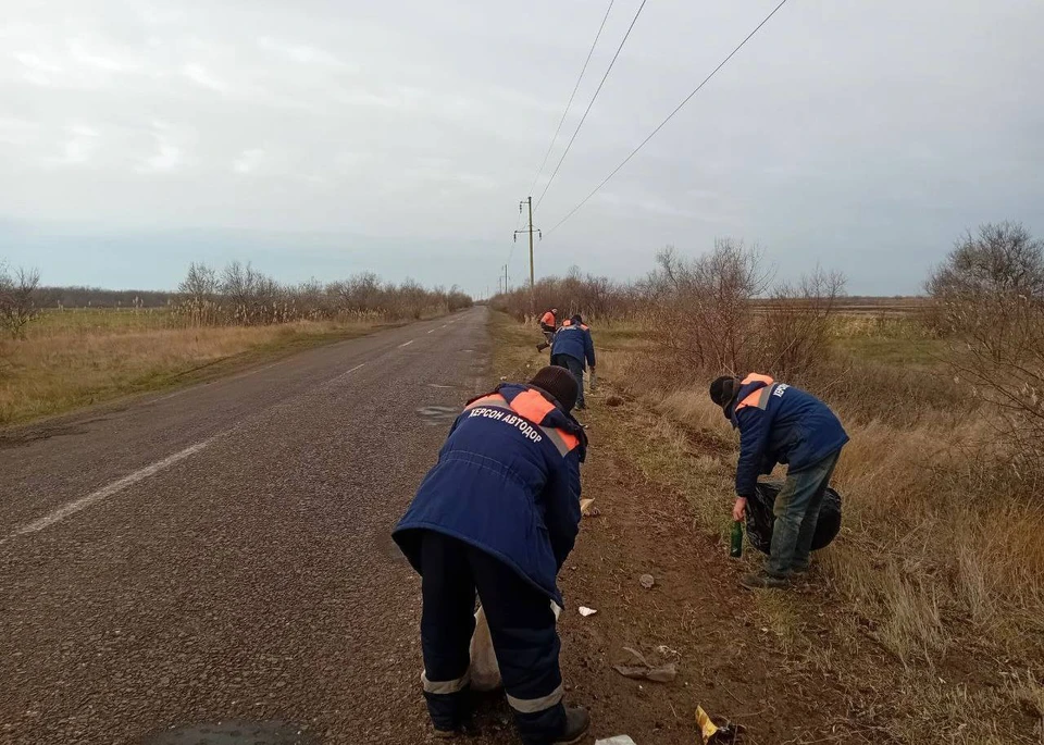 В Херсонской области на автодороге между селами Красное и Лиманское вырубили лишнюю растительность. ФОТО: ГБУ "Херсон Автодор"