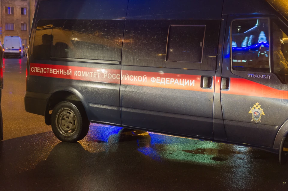 Замглавы администрации Приозерского района Ленобласти отправили в СИЗО.